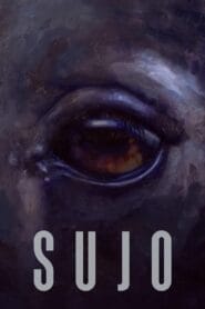Sujo
