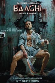 Baaghi 4 (2025)
