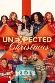 Unexpected Christmas (2025)