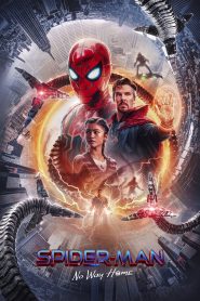 Spider Man No Way Home (2022) Hindi Dubbed